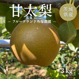 梨 【 フルーツランド外塚農園 】 甘太 3kg  5～6個 贈答用 茨城県かすみがうら市《9/下旬～10/上旬の出荷》