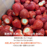 業務用 冷凍いちご お試し用 1ｋg 国産 栃木県産 イチゴ