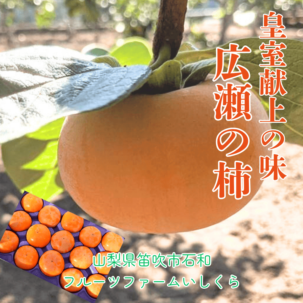 柿 甘柿 【フルーツファームいしくら】 富有柿等 皇室献上の味 広瀬の柿 4kg M 20 個 山梨県笛吹市 種なし かき《10/下旬～11/上旬の出荷》