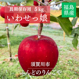りんご 【ふんどのりんごや】 オリジナル品種 いわせっ娘 蜜無し 長期保存用 5kg 16～18個 福島県須賀川 《1/上旬～1/中旬より出荷》