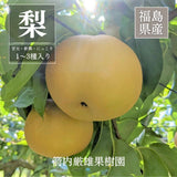 梨 【箭内厳雄果樹園】 甘太 新興 にっこり 1～3種入り 4kg 6～8個 福島県須賀川市《10/下旬～11/上旬より出荷》