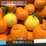 柑橘  【みかんの館】 有田 ブランド産地 田村地区産 柑橘詰め合わせ ３種以上 10㎏ 和歌山県 かんきつ みかん 《2/中旬～2/下旬より出荷》