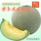 メロン 【OTM出荷組合】 メロン オトメメロン 5玉 2L 糖度15度以上 贈答用 母の日 茨城県鉾田市 茨城町 《4/下旬～5/上旬より出荷》