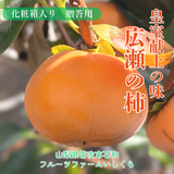 柿 甘柿 【フルーツファームいしくら】 富有柿等 皇室献上の味 広瀬の柿 化粧箱約3kg ３L 8～9個 特秀 贈答用 プレゼント 山梨県笛吹市 種なし かき《10/下旬～11/上旬の出荷》