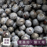 国産 冷凍ブルーベリー 加工用 業務用 農薬不使用 5kg 茨城県 冷凍 フルーツ 果物 ブルーベリー