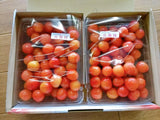 さくらんぼ 【佐藤果樹園】 佐藤錦 1kg 秀 L 《6/中旬～6/下旬の出荷》