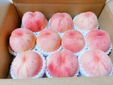 桃 【遠藤農園】 もも 3.5kg 大玉9～12個 贈答 品種色々 福島県 《7/下旬～8/上旬から出荷》