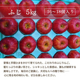 りんご 【ふんどのりんごや】 ふじ 5kg  16～18個 福島県須賀川 《1/上旬～1/下旬の出荷》
