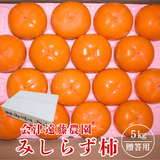 柿 【会津遠藤農園】みしらず柿 御山柿 5kg 2L～4L 14～18個 秀 福島県会津 《11/下旬～12/中旬出荷》
