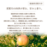りんご 【箭内厳雄果樹園】 リンゴ 贈答用 5kg 15～16個 福島県須賀川市《11/下旬～12/上旬より出荷》