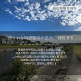 キュウリ 【エムズアグリ】業務用 訳あり きゅうり 約10㎏ 福島県須賀川市