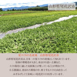 すいか 【小玉農園】 尾花沢スイカ 大玉 1個 3L~4L 8～10kg 祭ばやし 山形県 御中元 《7/中旬～7/下旬より出荷》