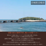 マンゴー 【ウィナーズベル】 太陽のタマゴ 糖度15度以上 贈答用 3L 2個  宮崎県宮崎市 《5/上～5/中より出荷》
