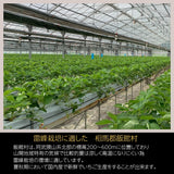 いちご 夏いちご  業務用 雷峰 すずあかね バラ小 6720g (280g×4P)×6箱 訳あり B品  小さめ 福島 飯館 ケーキ お菓子作り イチゴ 苺 夏