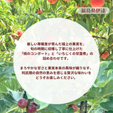 桃 いちじく コンポート【岡崎】 桃のコンポート 220g×3個 いちじく甘露煮 260g×3個 蜜漬け 贈答用 福島県 伊達 福島の桃