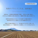 スイカ 小玉スイカ 【KSK出荷組合】 紅トップ べにくろ L どちらか1個 1.6～1.8kg 贈答用 茨城県筑西市 すいか 小玉 母の日 《5/6～5/中旬より出荷》