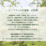 洋梨 【木村フルーツ】 洋なし ラ・フランス 家庭用 訳あり 約5kg 山形県上山市 ラフランス《11/中旬～11/下旬より出荷》