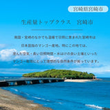 マンゴー 【緒方果樹園】 完熟マンゴー 3L 2個 900g 贈答用 宮崎県宮崎市 《5/上～5/中より出荷》