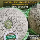 メロン 【方波見農園】 むつみレッド イバラキング クインシー  タカミ タカミレッド どれか1種 3L以上 2玉 2.4~3.6kg 糖度16度以上 贈答用 茨城県鉾田市 母の日 父の日 《5/上旬～5/中旬より出荷》