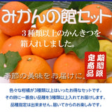 柑橘  【みかんの館】 有田 ブランド産地 田村地区産 柑橘詰め合わせ ３種以上 5㎏ 和歌山県 かんきつ みかん 《2/中旬～2/下旬より出荷》