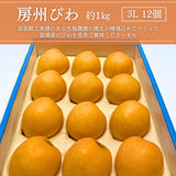 びわ 【生稲農園】 房州びわ 約1kg 12個 3L 化粧箱 枇杷 皇室献上の実績 父の日 千葉県南房総市《5/下旬～6/上旬より出荷》