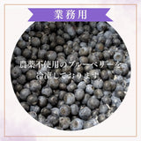 国産 冷凍ブルーベリー 加工用 業務用 農薬不使用 5kg 茨城県 冷凍 フルーツ 果物 ブルーベリー