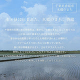 いちじく 【ファームさとう】 贈答用 品種おまかせ 12～13個 1㎏ 千葉県香取市 《8/上旬～8/下旬より出荷》