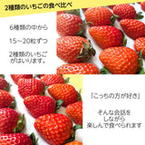 いちご 【斎藤農園】2種類 食べ比べ (15～20粒 300g)×2P 福島県伊達市 《2/上旬～2/中旬より出荷》
