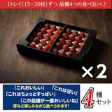 いちご 【斎藤農園】4種 食べ比べ  (15～20粒 300g)×4P 母の日 福島県伊達市《2/上旬～2/中旬より出荷》