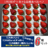 いちご 【斎藤農園】6種 食べ比べ ゆうやけベリー 紅ほっぺ とちおとめ ふくはる香 おいCベリー 真紅の美鈴 (15粒 300g)×2P 母の日 福島県伊達市《2/上旬～2/中旬より出荷》