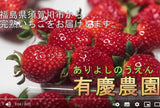 いちご 【有慶農園】 とちおとめ デラックス 3L～4L 大玉24～30粒（12～15個×2パック） 福島県須賀川 苺 イチゴ 《1/中旬～1/下旬より出荷》
