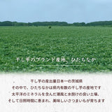 干し芋 【サンキューマルシェ】 ほしいも 訳あり 家庭用  シロタ等 1kg(500g×2袋) ポスト投函 茨城県ひたちなか 天日干し 干しいも わけあり