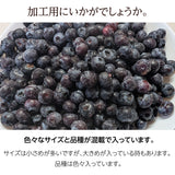 国産 冷凍ブルーベリー 加工用 業務用 農薬不使用 1.4kg 福島県 冷凍 フルーツ 果物 ブルーベリー