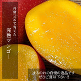 マンゴー 【まるのわマンゴー】 完熟マンゴー 3kg 5～6個 宮崎県宮崎市 《5/下～6/上より出荷》