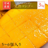 マンゴー 【まるのわマンゴー】 完熟マンゴー 3kg 5～6個 宮崎県宮崎市 《5/下～6/上より出荷》