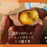 焼いも 【GOVタカノ】 農家さんが作る 焼き芋 ミニ焼芋 800g 茨城県鉾田市 《12/上旬～中旬より出荷》