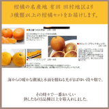 柑橘  【みかんの館】 有田 ブランド産地 田村地区産 柑橘詰め合わせ ３種以上 5㎏ 和歌山県 かんきつ みかん 《2/中旬～2/下旬より出荷》