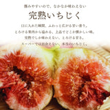 いちじく 【ファームさとう】 贈答用 品種おまかせ 12～13個 1㎏ 千葉県香取市 《8/上旬～8/下旬より出荷》