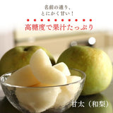 梨 【 フルーツランド外塚農園 】 甘太 3kg  5～6個 贈答用 茨城県かすみがうら市《9/下旬～10/上旬の出荷》