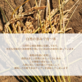 米 【ライズサプール】 ひとめぼれ 玄米 30kg 福島県只見町 会津 令和7年産 《2025年10/下旬より出荷》