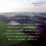 メロン 【メロン農家の根崎】 イバラキング 2玉 3kg 家庭用 2024年 イバラキング品評会1位 茨城県鉾田市 《6/上旬～6/中旬より出荷》