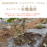 キュウリ 【エムズアグリ】業務用 訳あり きゅうり 約10㎏ 福島県須賀川市