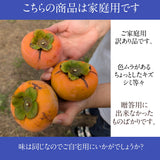 柿 甘柿 【根津農園】 富有柿 石和の柿 3.5kg 13～15個 家庭用 山梨県笛吹市 種なし かき《10/下旬～11/上旬の出荷》