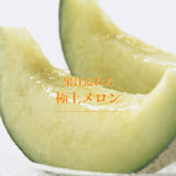メロン 【OTM出荷組合】 メロン オトメメロン 4玉 3L 糖度15度以上 贈答用 母の日 茨城県鉾田市 茨城町 《4/下旬～5/上旬より出荷》