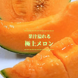 メロン 【OTM出荷組合】 レノン 2L 5玉 糖度15度以上 贈答用 茨城県鉾田市 《5/中旬～5/下旬より出荷》
