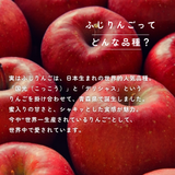 りんご 【箭内厳雄果樹園】 リンゴ 贈答用 10kg 30～32個 福島県須賀川市《11/下旬～12/上旬より出荷》