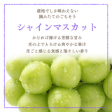 ぶどう 【箭内厳雄果樹園】 シャインマスカット 約1.8kg 2～３房 福島県 《10/上旬～10/中旬の出荷》