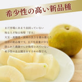 梨 【 フルーツランド外塚農園 】 甘太 3kg  5～6個 贈答用 茨城県かすみがうら市《9/下旬～10/上旬の出荷》
