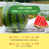 スイカ 【富里すいか園】 特大 富里スイカ 3L 8～9kg 1個 千葉県富里市 すいか 父の日 《5/下旬～6/上旬より出荷》