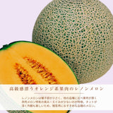 メロン 【OTM出荷組合】 レノン 2L 5玉 糖度15度以上 贈答用 茨城県鉾田市 《5/中旬～5/下旬より出荷》